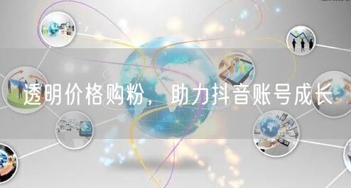 透明价格购粉，助力抖音账号成长
