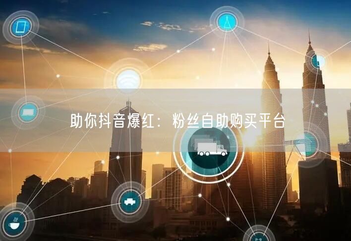 助你抖音爆红：粉丝自助购买平台