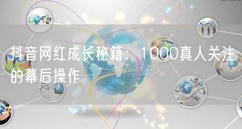 抖音网红成长秘籍：1000真人关注的幕后操作
