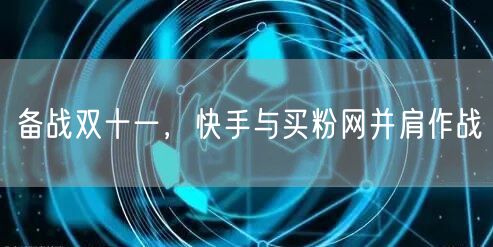 备战双十一,快手与买粉网并肩作战